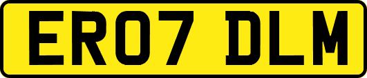 ER07DLM