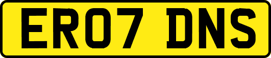 ER07DNS