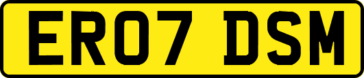 ER07DSM