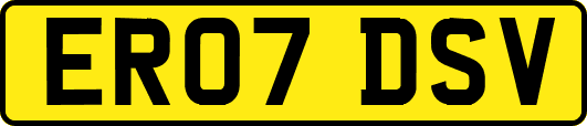 ER07DSV