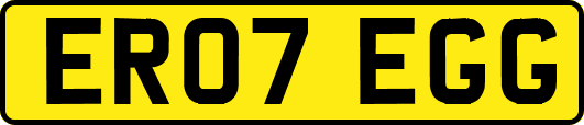 ER07EGG
