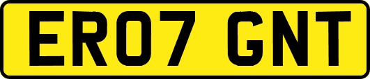 ER07GNT