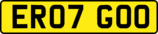 ER07GOO