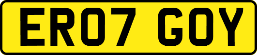 ER07GOY