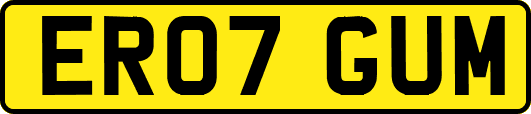 ER07GUM