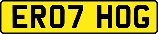 ER07HOG