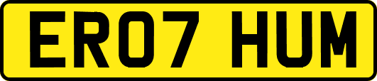 ER07HUM