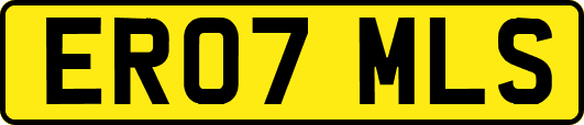 ER07MLS