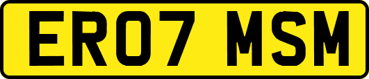 ER07MSM