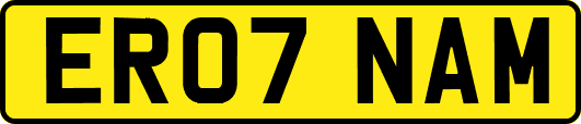 ER07NAM