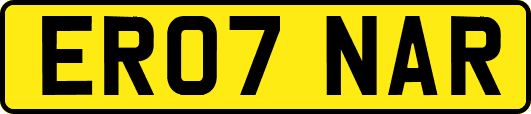 ER07NAR
