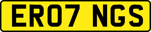ER07NGS