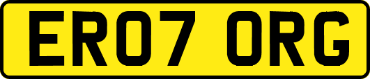 ER07ORG
