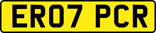 ER07PCR