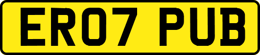 ER07PUB