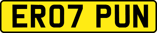 ER07PUN