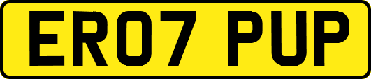 ER07PUP