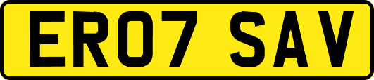 ER07SAV