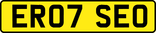 ER07SEO
