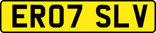 ER07SLV