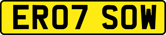 ER07SOW