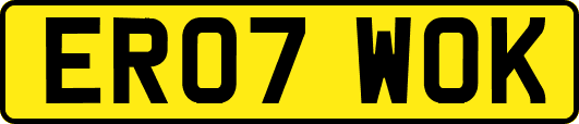 ER07WOK
