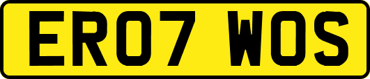 ER07WOS