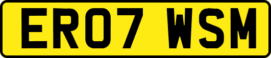 ER07WSM