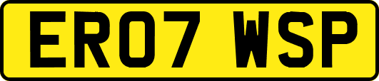 ER07WSP