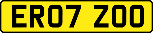 ER07ZOO