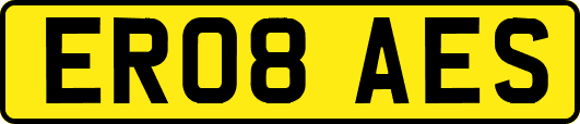 ER08AES