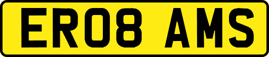 ER08AMS