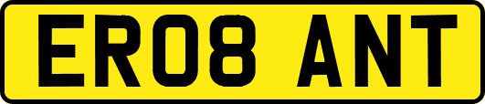 ER08ANT