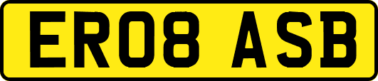 ER08ASB