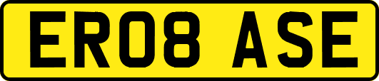 ER08ASE