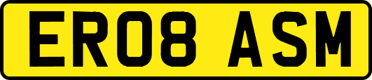 ER08ASM