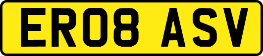 ER08ASV