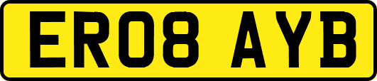 ER08AYB