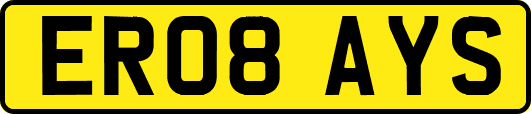 ER08AYS