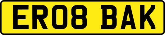 ER08BAK