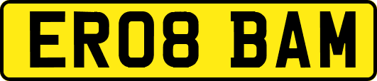 ER08BAM