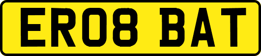 ER08BAT