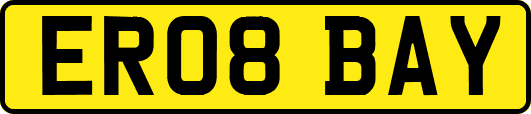 ER08BAY