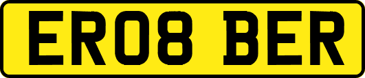 ER08BER