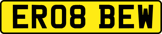 ER08BEW