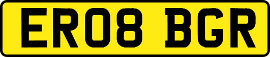ER08BGR
