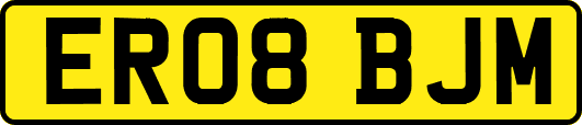 ER08BJM