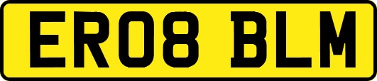 ER08BLM