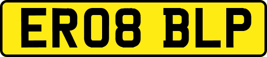 ER08BLP