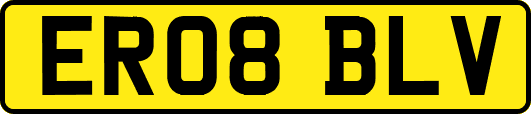 ER08BLV